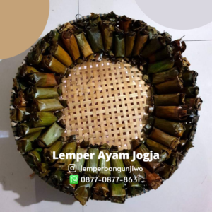 Lemper Ayam Jogja